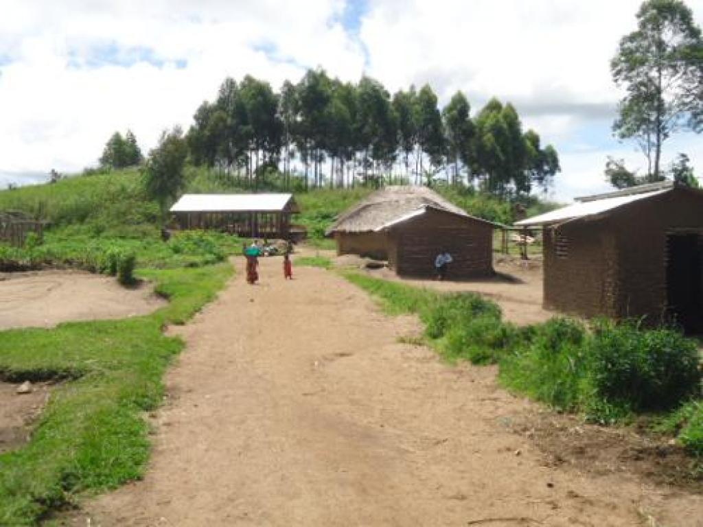(Photo d'illustration) Une Localité du territoire de Djugu en Ituri. Janvier 2022. Radio Okapi/Ph. Marc Maro Fimbo.