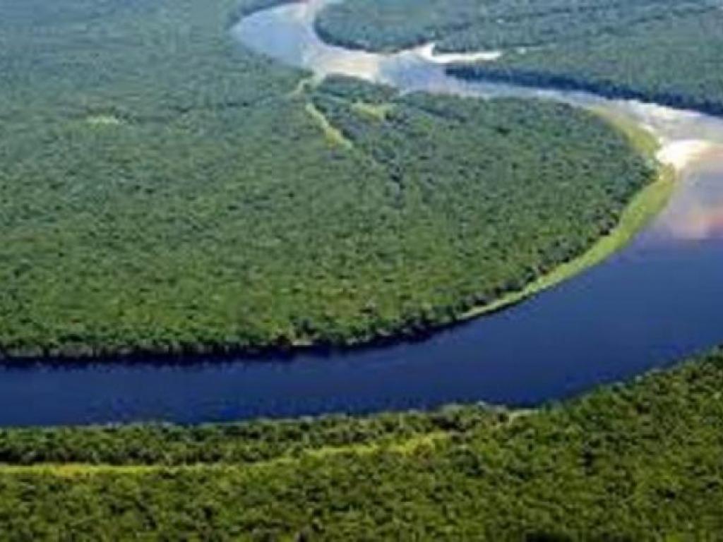 Le bassin du Congo