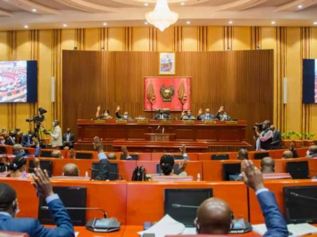 une seance de travail du senat congolais 