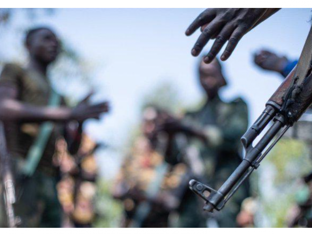 Troupes congolaises dans les environs de Beni