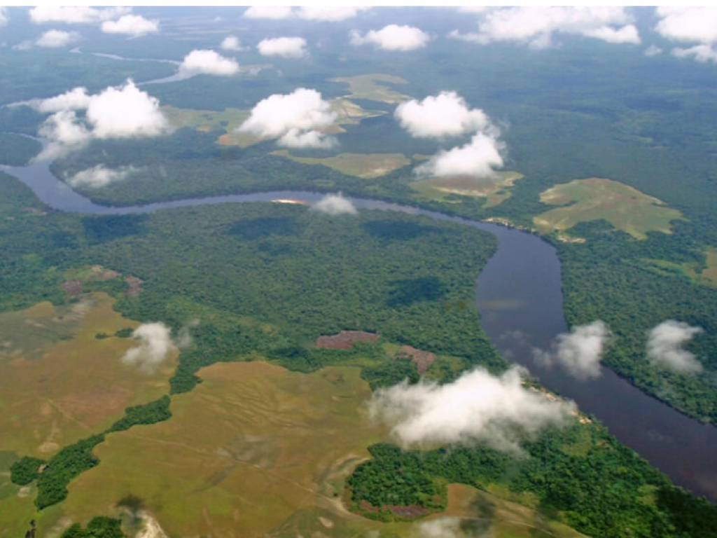 Le bassin du Congo abrite la deuxième plus grande forêt tropicale humide du monde. Kim Gjerstad/Unesco
