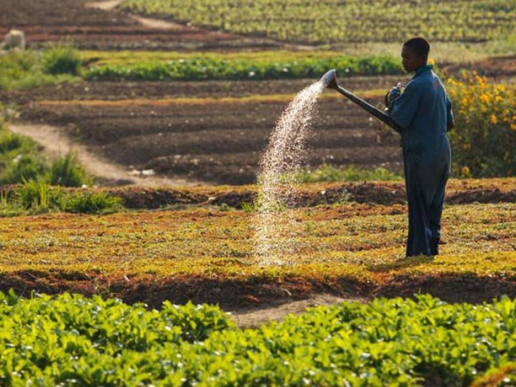 Ce financement va permettre aux populations vulnérables et des zones rurales d’avoir accès aux services financiers