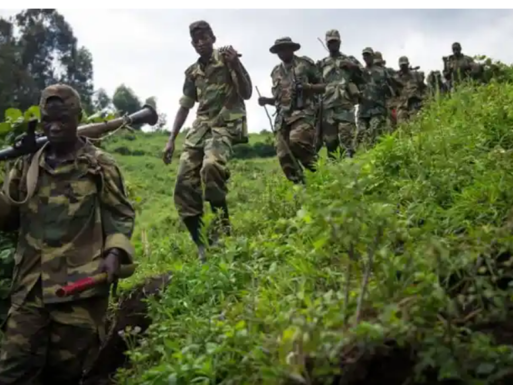 Dans ce livre, Kinshasa montre les sources de financement du M23 et comment ces rebelles s’illustrent dans le commerce des ivoires et d’autres trafics de braconnage des animaux primitifs dans plusieurs aires protégées dans l’Est de la RDC pour financer ses services terroristes.