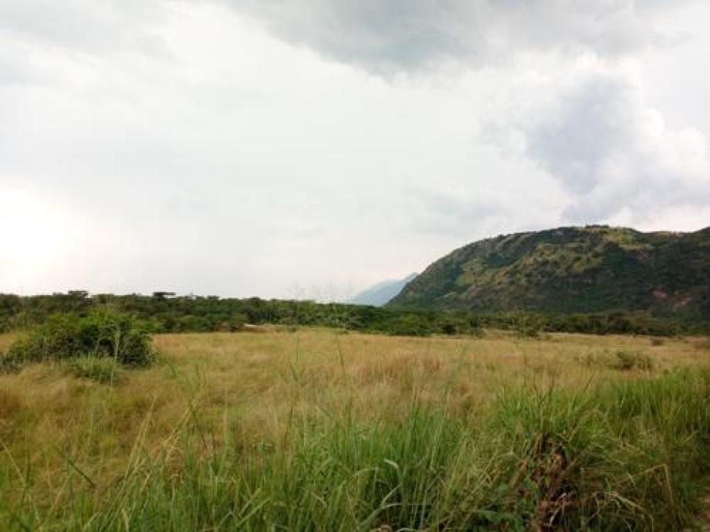 Une vue du nord du parc national des Virunga. Radio Okapi/Ph. Marc Maro Fimbo