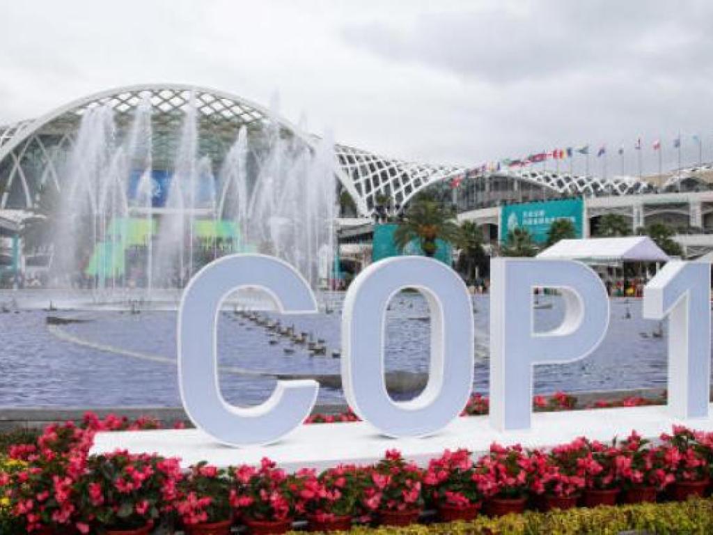 Ce "pacte de paix avec la nature", appelé "accord de Kunming-Montréal", vise à protéger les terres, les océans et les espèces de la pollution, de la dégradation et de la crise climatique.