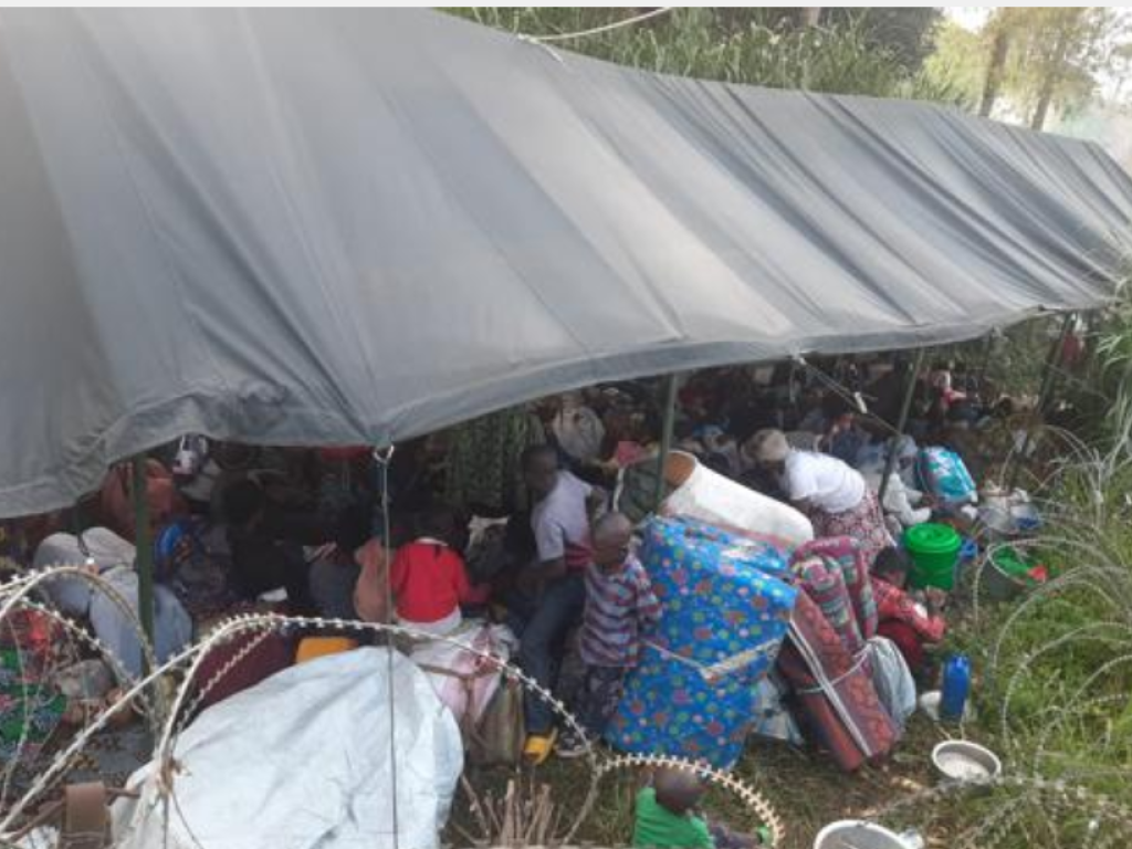 Des habitants de Kitshanga, dans la chefferie de Bashali, territoire de Masisi (Nord-Kivu), réfugiés devant la base des casques bleus de la MONUSCO après la prise de la cité par la rébellion du M23. Jeudi 26 janvier 2023. Ph. Kitshanga Muhindo Mbesta.