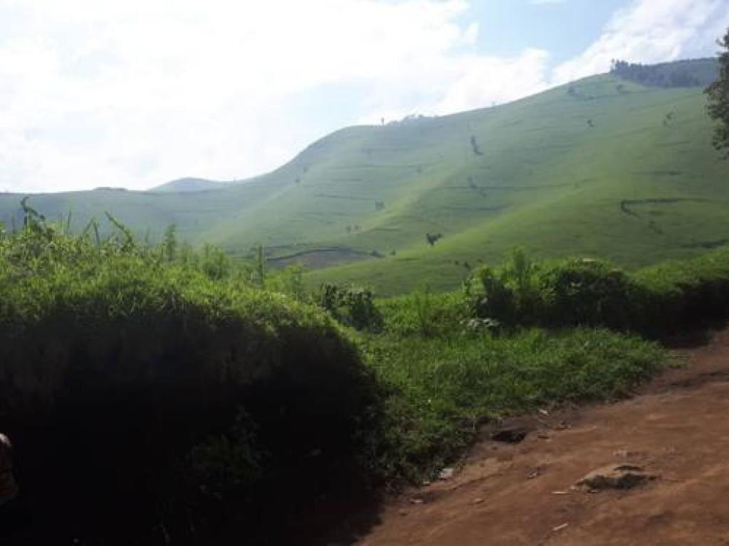 Photo d'illustration) Les montagnes de Masisi (Nord-Kivu). 2020. Radio Okapi /Ph. Denise Lukesso