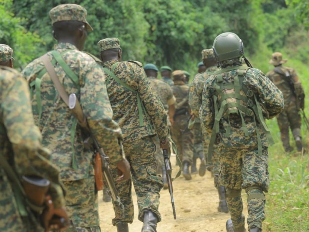En 2021, une opération militaire conjointe entre les armées congolaise et ougandaise avait été lancée pour traquer les ADF dans le Nord-Kivu et dans la province voisine de l’Ituri. © Sébastien KITSA MUSAYI / AFP.