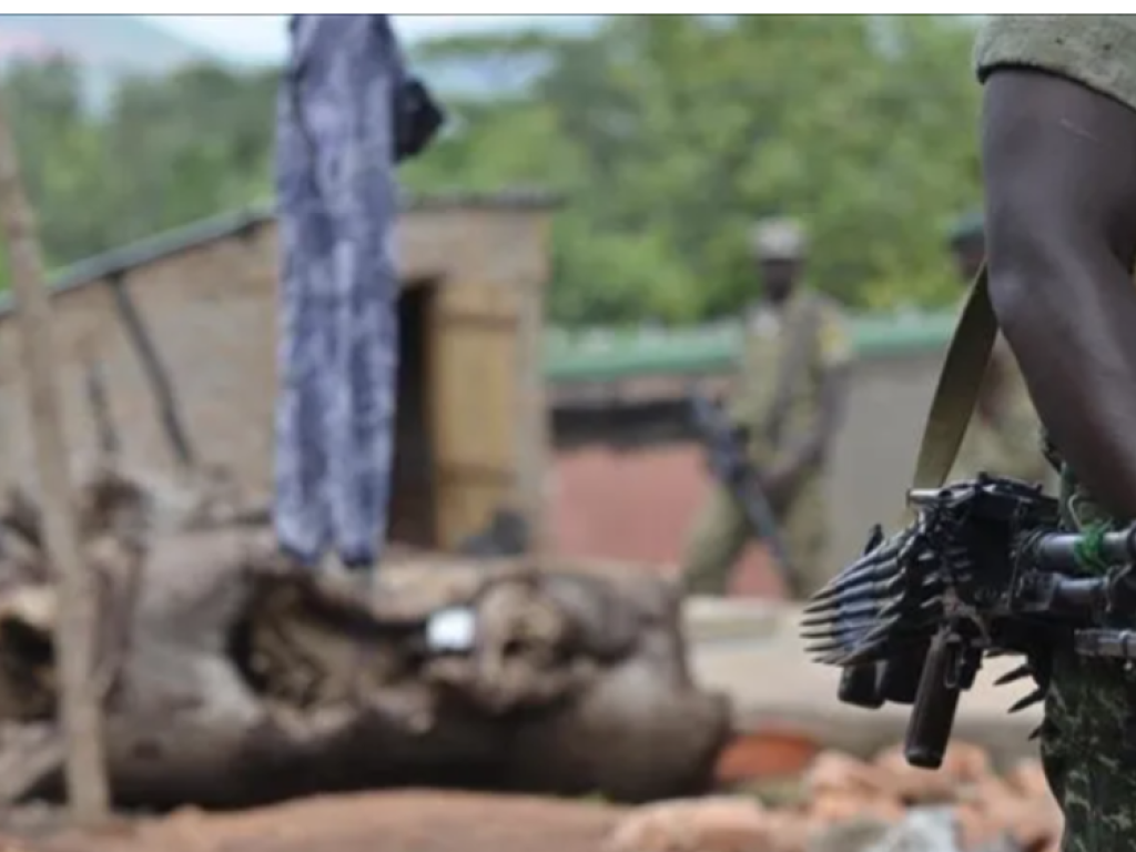 D’après des sources administratives, des hommes armés, vêtus en treillis militaire floquée tâche-tâche de couleur blanche, ont attaqué trois villages successifs aux petites heures de ce mardi 28 février 2023. (Photo d'illustration)