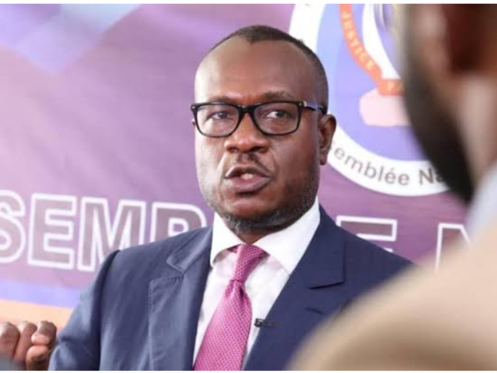 "Tous ceux qui portent ces types d’initiatives doivent être regardés comme ennemis de la République, de la paix et de la stabilité de notre pays." D. Sesanga