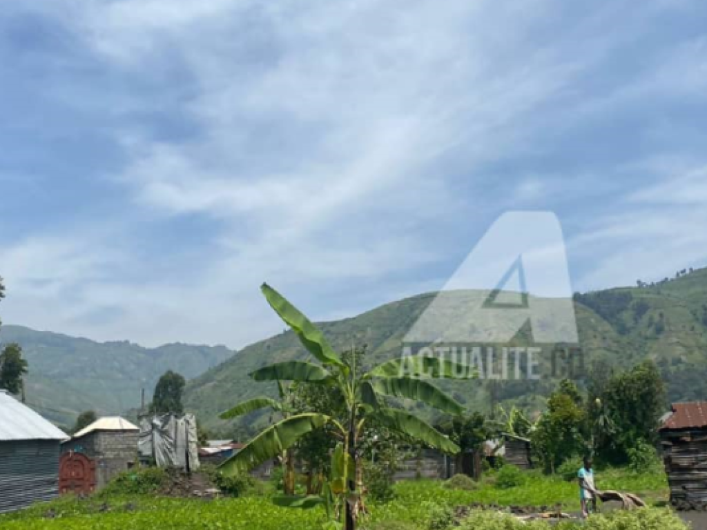 Les collines de Masisi vues à partir de Sake